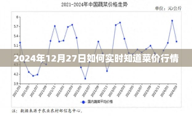 2024年菜价行情实时查询指南，简洁明了，能够准确传达文章的核心内容，符合您的要求。