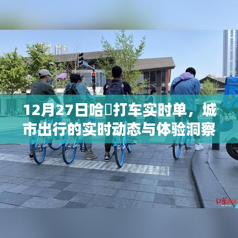 哈啰打车城市出行实时动态与体验洞察报告