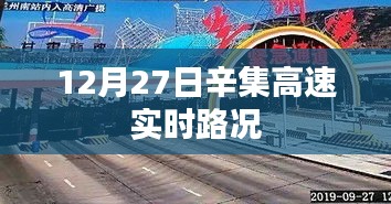 硕果仅存 第3页