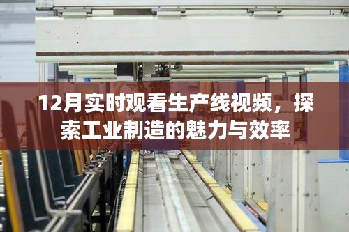 物离乡贵 第3页