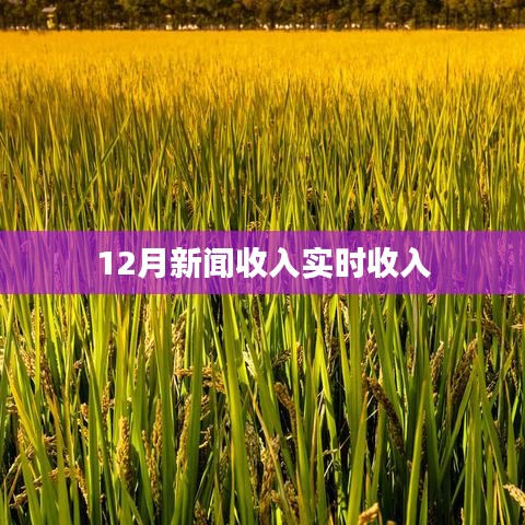 12月新闻实时收入概览