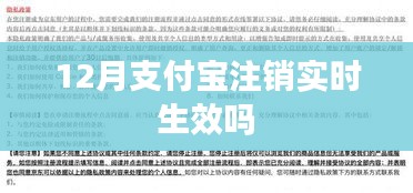 澹泊明志，宁静致远 第3页