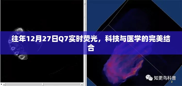 科技与医学的完美结合，历年12月27日Q7实时荧光观察