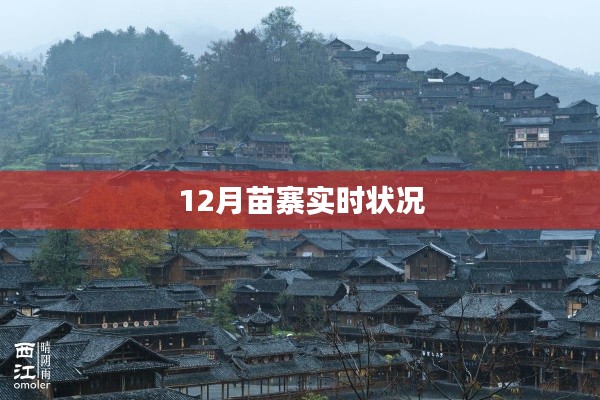 苗寨12月实时生活状态更新