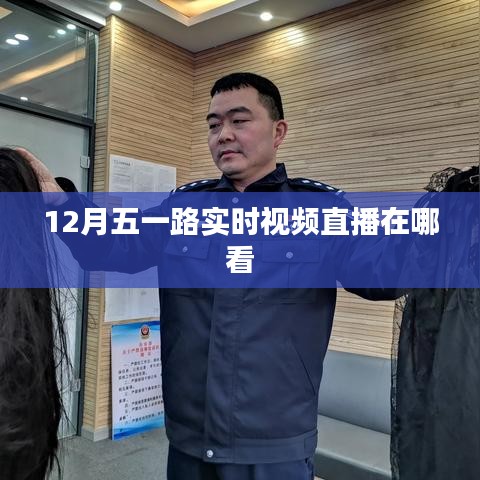 五一路实时视频直播观看指南