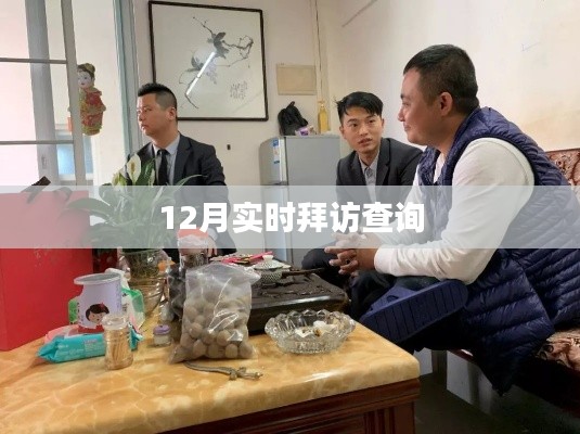 实时拜访查询系统（最新更新）