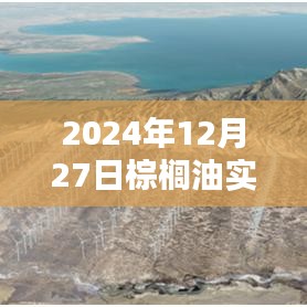 棕榈油实时期货行情分析（2024年12月27日）