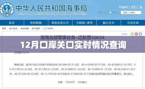 口岸关口实时动态查询系统，最新消息一键掌握