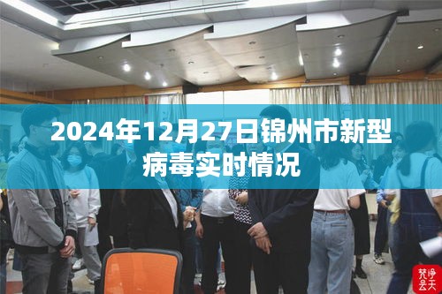 锦州市新型病毒实时情况报告（2024年12月27日）