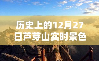 反朴归真 第3页