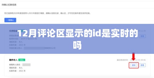 12月评论区ID实时性解析