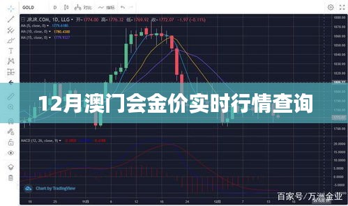 澳门黄金行情查询，最新实时金价动态