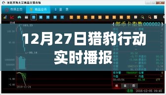 猎豹行动最新播报，12月27日实时更新