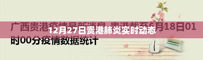 贵港肺炎最新实时动态（12月27日）