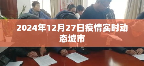 疫情实时动态，城市追踪报告（2024年12月）