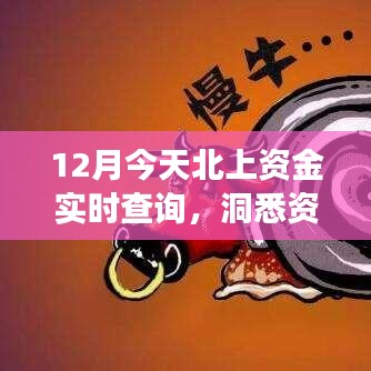 12月北上资金实时查询，洞悉资金流动与股市动态