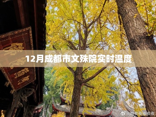 成都文殊院12月实时温度播报