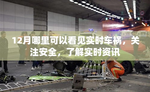 关注安全出行，实时车祸资讯12月尽收眼底