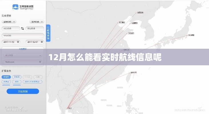 实时航线信息查看指南，12月飞行轨迹一目了然
