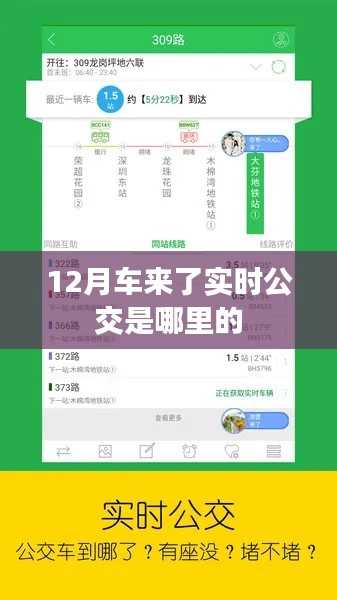 实时公交助手，12月车来了，服务区域揭秘