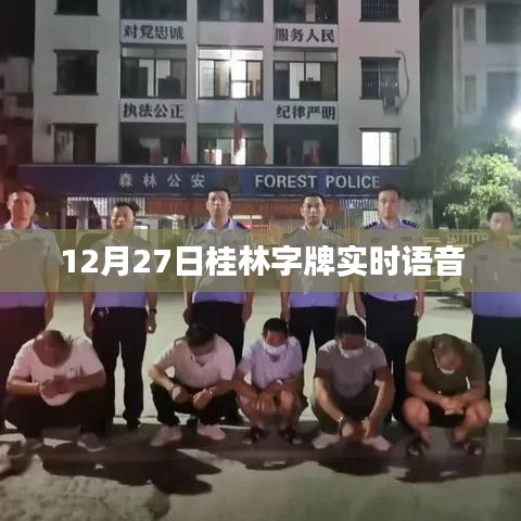 桂林字牌实时语音播报系统上线时间揭晓