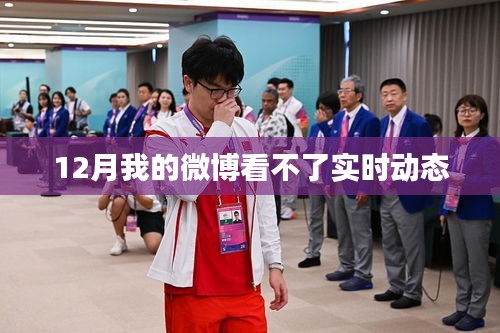 微博无法查看实时动态问题解析