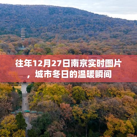 南京冬日温暖瞬间，往年12月27日实时图片回顾