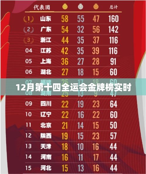 第十四届全运会金牌榜实时更新