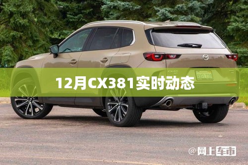 CX381最新实时动态曝光