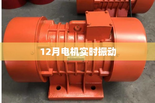 电机实时振动监控分析