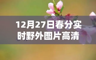 娇小玲珑 第2页