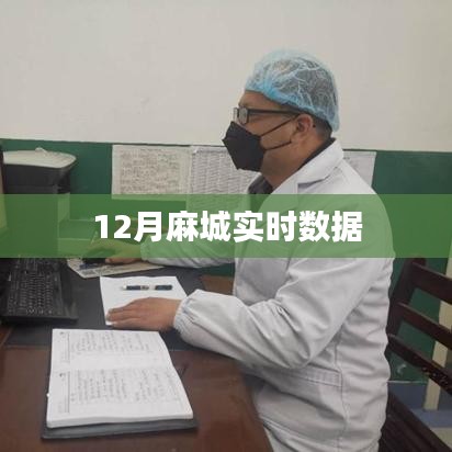 麻城最新实时数据发布