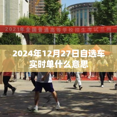 实时单自选车服务详解，2024年12月27日新功能解析