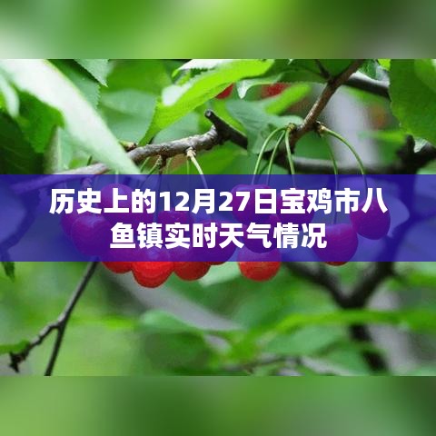 宝鸡八鱼镇12月27日实时天气回顾