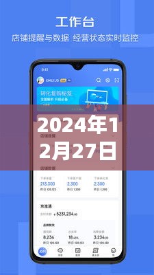 京麦实时销售数据导出指南，2024年12月27日销售报告