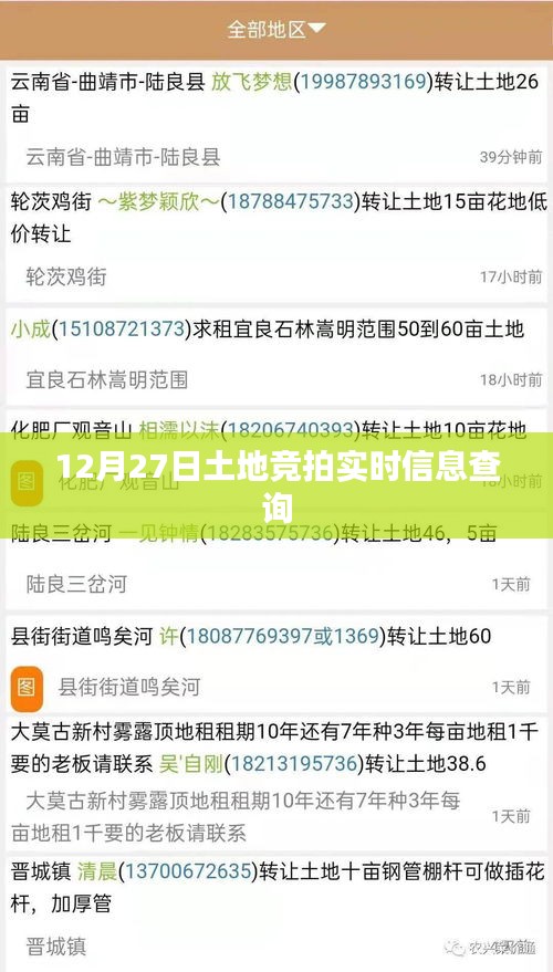 12月27日土地竞拍结果实时查询服务