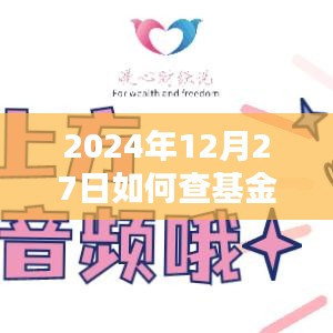 如何实时查询基金数据（适用于2024年）
