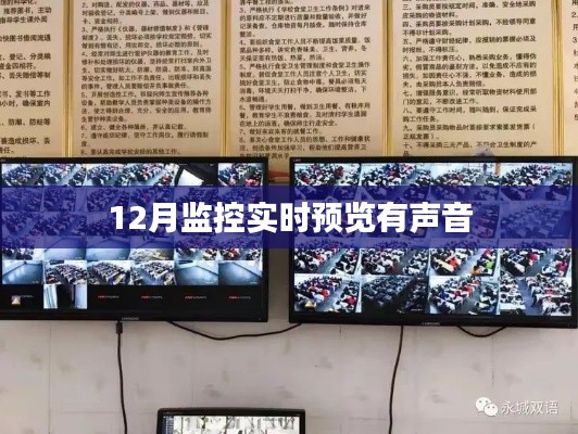 监控实时预览声音功能介绍