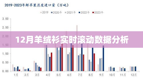 羊绒衫市场实时数据解析，洞悉十二月市场动态