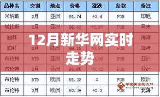 新华网十二月实时动态概览