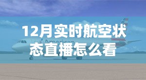 12月航空实时动态直播查看攻略