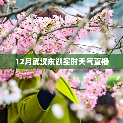 武汉东湖12月实时天气直播在线查看