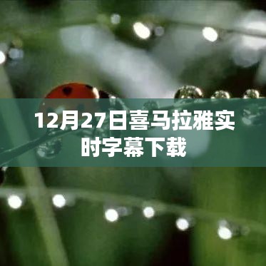 喜马拉雅实时字幕下载，12月27日字幕速取