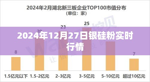 关于银硅粉实时行情的资讯（最新更新日期，2024年12月27日）