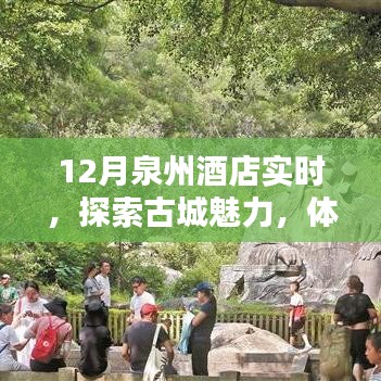 泉州酒店实时推荐，古城魅力与舒适住宿体验