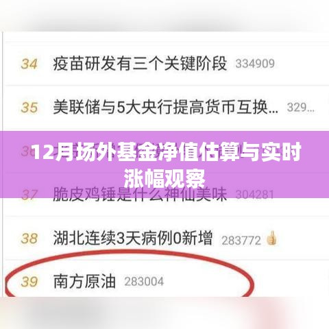 12月场外基金净值估算与实时涨幅深度解析