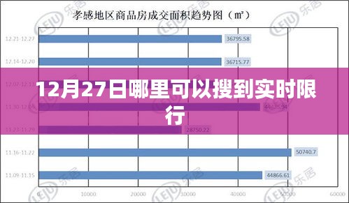 实时限行查询服务，最新资讯一手掌握