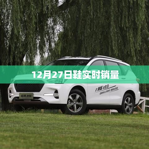 12月27日鞋类实时销量数据报告