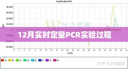 实时定量PCR实验流程详解，从准备到分析全过程