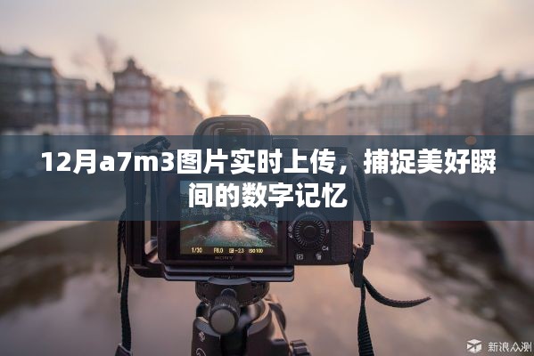 12月A7M3图片实时分享，记录美好瞬间